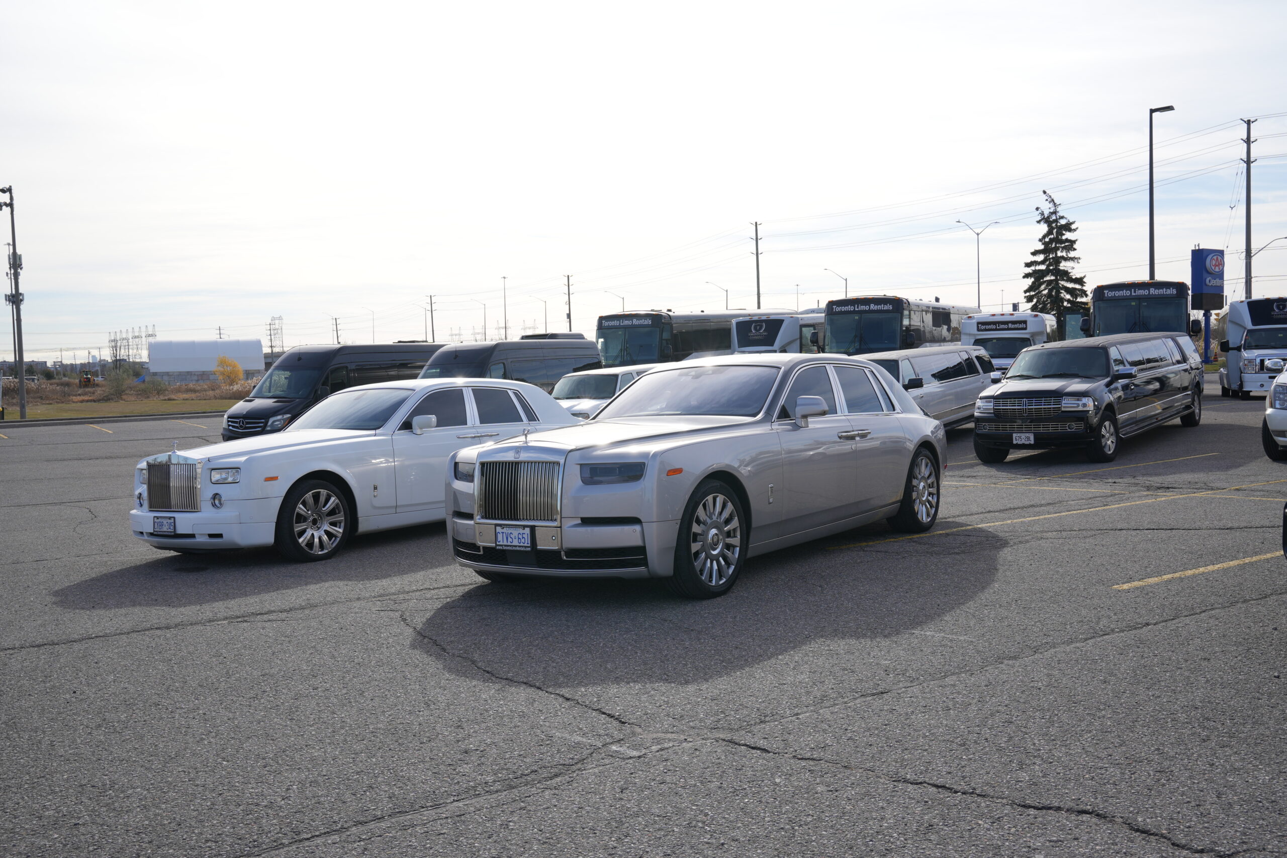 Toronto Wedding Limo